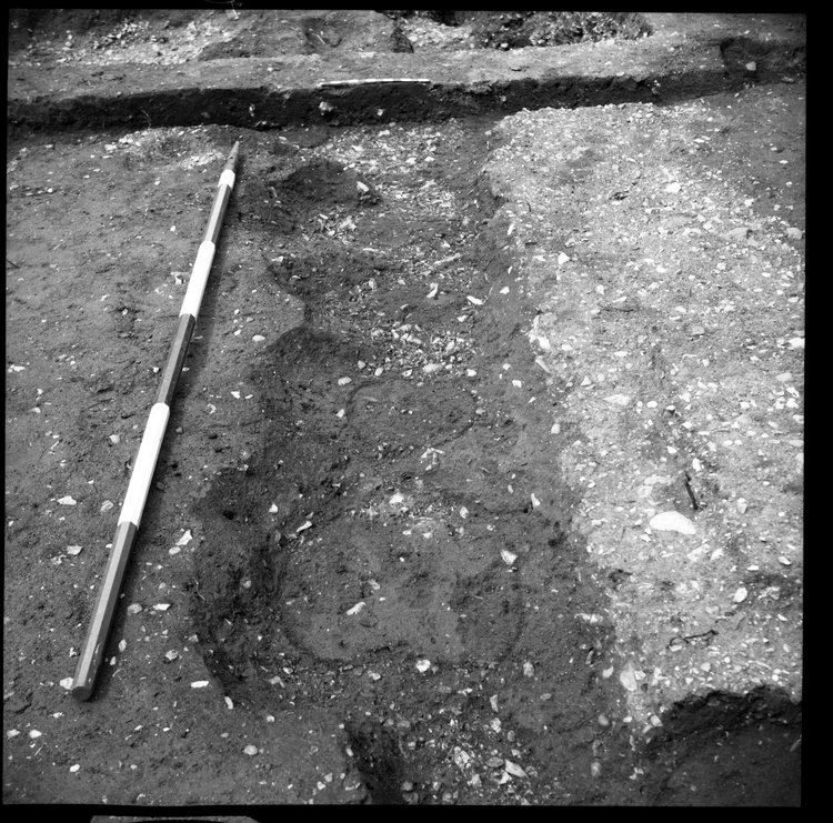 Thumbnail of 67-11 Close up looking N of sections of foundation trenches in IDX with scale