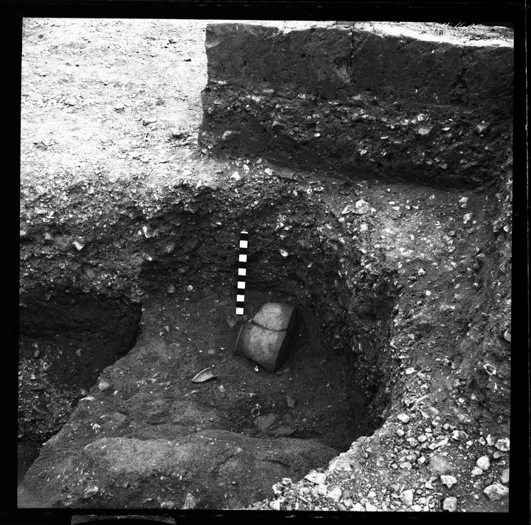 Thumbnail of 7-2 Close up of pottery sherd in section with scale