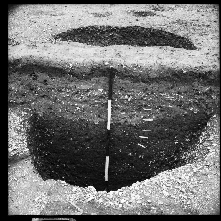 Thumbnail of 8-3 View looking W of Pit I section in trench II with scale