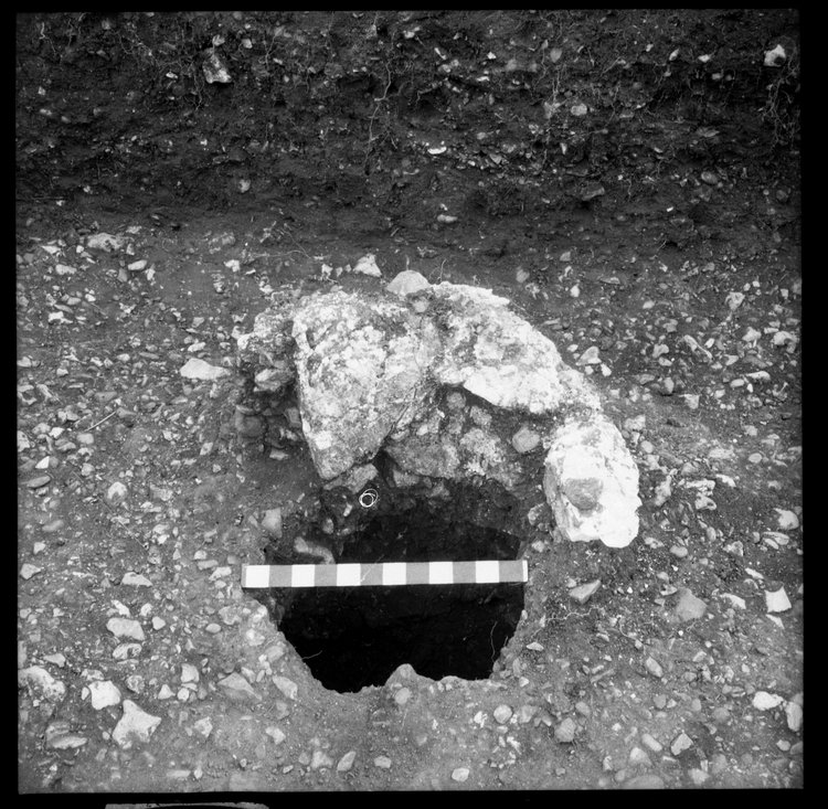 Thumbnail of 9-3 View looking E of post hole with chalk in trench PC II with scale