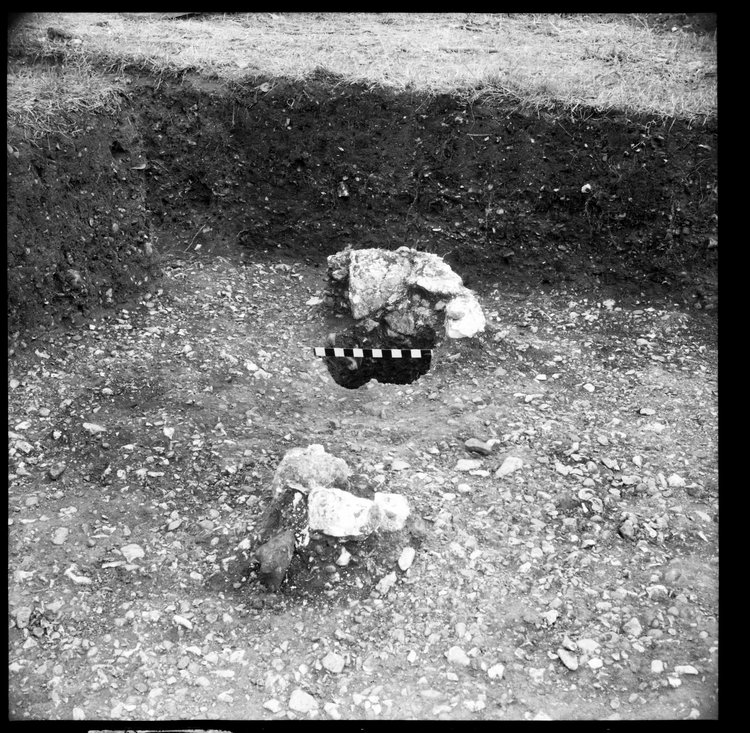 Thumbnail of 9-4 View looking E of post holes in trench PC II with scale