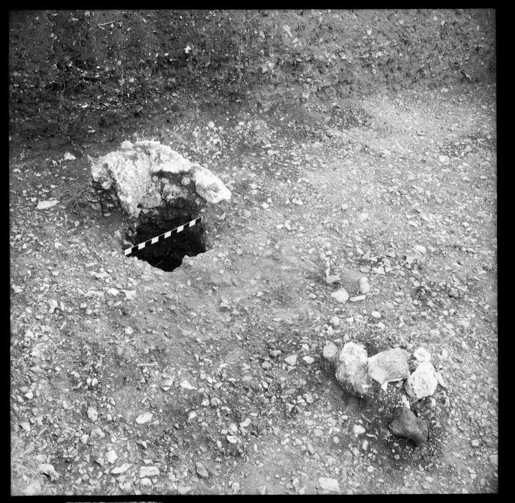 Thumbnail of 9-6 View looking SE of post holes with chalk in trench PC II with scale