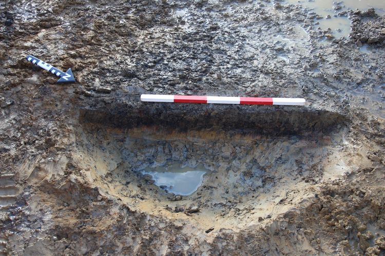 cotswold2-535933: Digital Archive from an Archaeological Evaluation at New Road Farm, Melksham, Wiltshire, February - March 2025. Copyright:  Cotswold Archaeology