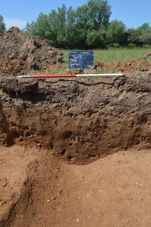 cotswold2-533333: Digtial Archive from an Archaeological Evaluation at Nethergate Brewery, Long Melford, Suffolk, May 2025. Copyright:  Cotswold Archaeology