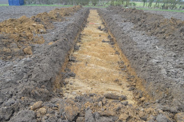 cotswold2-530448: Digital Archive from an Archaeological Evaluation at Victoria Mill Road, Framlingham, Suffolk, February 2025. Copyright:  Cotswold Archaeology
