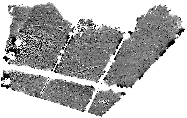 molanort1-527936: Digital Archive from a Geophysical Survey at Common Farm, Wash Water, Hampshire, August 2024. Copyright:  MOLA Northampton
