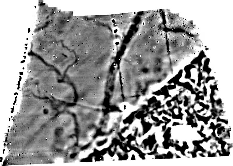 molanort1-536478: Digital Archive from a Geophysical Survey at Blue Gowt Drove, Pinchbeck, Lincolnshire, August 2025. Copyright:  MOLA Northampton