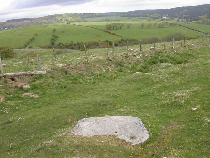 4419_1233_beck_pic_whittonburn_2a_dscn2021.jpg