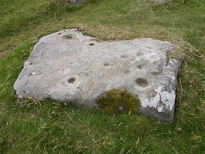4421_1233_beck_pic_whittonburn_2a_dscn2024.jpg
