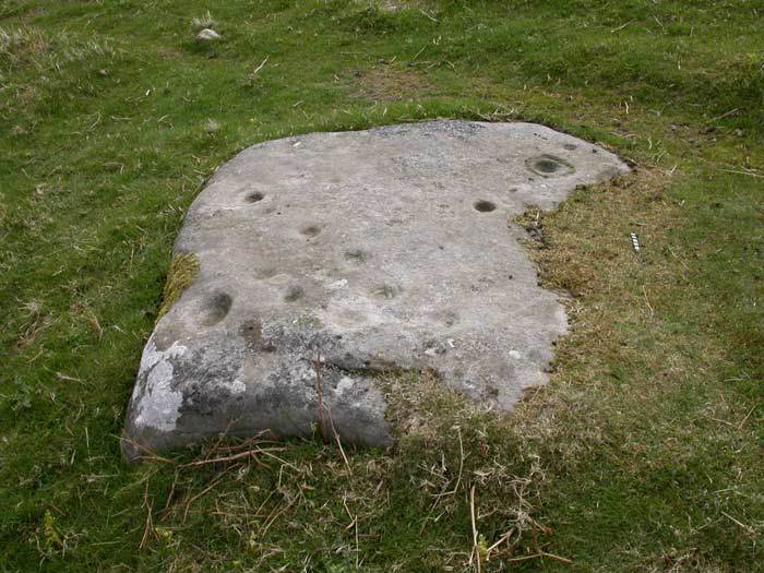 4423_1233_beck_pic_whittonburn_2a_dscn2026.jpg