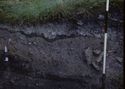 Thumbnail of 1969 photograph of Trench III on West Front, looking south, showing trench section with distinct charcoal layer.