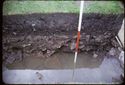 Thumbnail of 1974 photograph of trench in Area B, Site XXIII (Outer Courtyard), showing section of waterlogged trench.