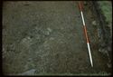 Thumbnail of 1974 photograph of square trench in Area B, Site XXIII (Outer Courtyard), showing mortar deposit.