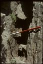 Thumbnail of 1974 photograph of wall cavity, possibly associated with standing buildings in South Range.