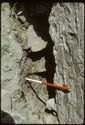 Thumbnail of 1974 photograph of wall cavity, possibly associated with standing buildings in South Range.
