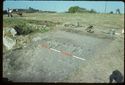 Thumbnail of 1976 photograph of Site XIII (Inner Courtyard), looking north-east, showing traces of stone wall.