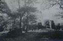 Thumbnail of Black and white photograph showing ruins of buildings amongst trees at Sheffield Manor Lodge.