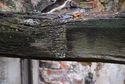 Thumbnail of The housing for the south purlin, cut into the west face of the middle tie beam