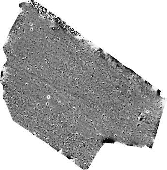 Greyscale image of magnetometer survey data from land at Ashleworth, Tewkesbury, Gloucestershire