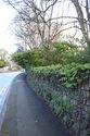 Thumbnail of General view of the boundary wall along Trelyon Avenue