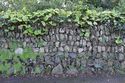 Thumbnail of Detail of the boundary wall along Trelyon Avenue
