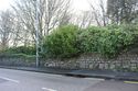 Thumbnail of General view of the boundary wall along Trelyon Avenue