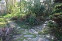 Thumbnail of Detail view of garden path junction and planting