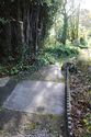 Thumbnail of General view of garden paths
