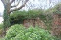 Thumbnail of East boundary wall of walled garden
