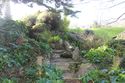 Thumbnail of Detail view of rock steps in rock garden