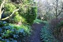 Thumbnail of General view from bottom of rock garden towards orchard
