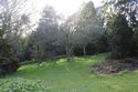 Thumbnail of General view of orchard