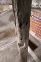 Thumbnail of South facing shot of the supporting timber in the southern room of Barn B