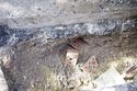 Thumbnail of Recording shot of backfill of utilities