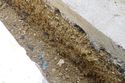 Thumbnail of Recording shot of modern disturbance in trench.