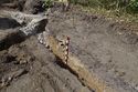 Thumbnail of Recording shot of Trench 1 section and drain. 1x1m scale