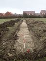 Thumbnail of View to NE trench 4 general shot 1x1, 1x2m scale