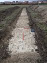 Thumbnail of View to NNE trench 8 general shot 1x1, 1x2m scale
