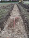 Thumbnail of View to SE trench 14 general shot 1x1, 1x2m scale