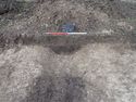 Thumbnail of View to NW trench 2 S.200 ditch [203] 1x1m scale