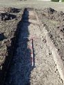 Thumbnail of View to WNW trench 15 general shot 1x1, 1x2m scale