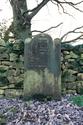 Thumbnail of Grave and boundary wall