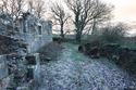 Thumbnail of South facing wall and south boundary wall