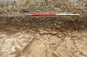 Thumbnail of Ditch 407 looking W