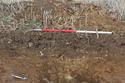 Thumbnail of Ditch 304 looking SW