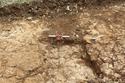 Thumbnail of Ditch 704 looking SE