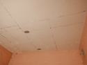 Thumbnail of Plate 8.14: Plasterboard panels on ceiling of ground floor rooms