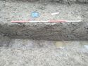 Thumbnail of South-east facing section of trench 2 (2m scale)