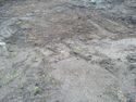 Thumbnail of Shot of backfilled trench 1
