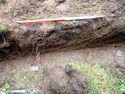 Thumbnail of View to N, SW area of electric trench S.1 1x1m scale